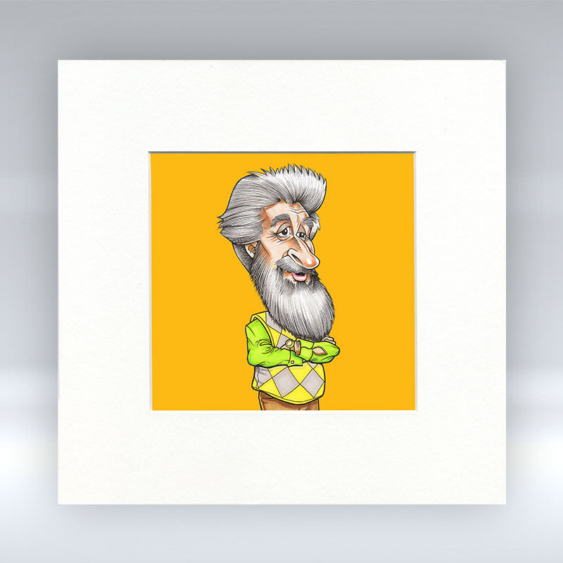 Mister - Colour Mounted Print